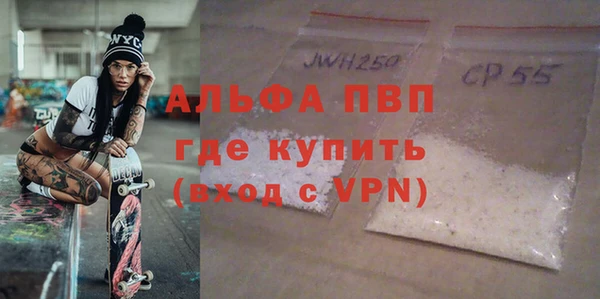 спайс Богданович