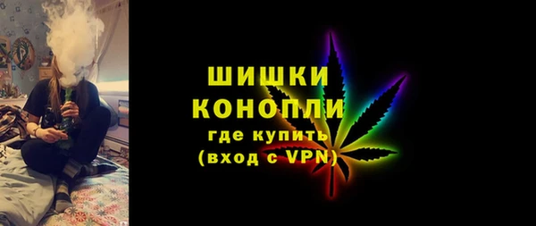 спиды Богородск