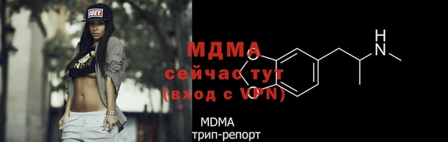 спайс Богданович