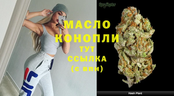 хмурый Бородино
