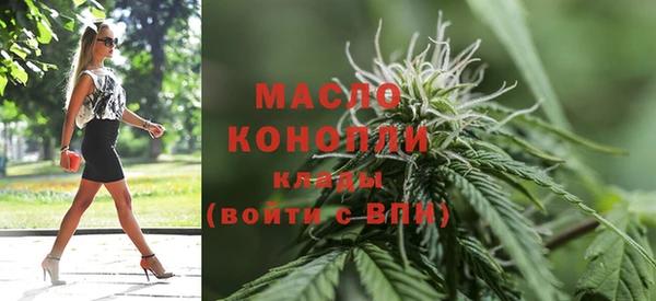 хмурый Бородино