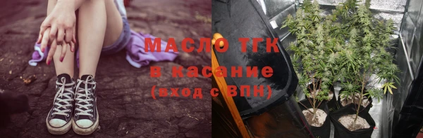хмурый Бородино