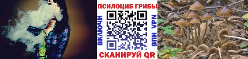 закладки  Тосно  мега ONION  Галлюциногенные грибы мицелий 