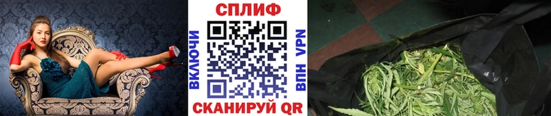 наркота  Тосно  Канабис AK-47 